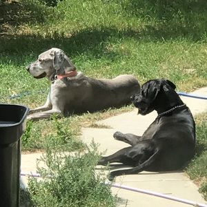 Meet your Posher, Bobbi